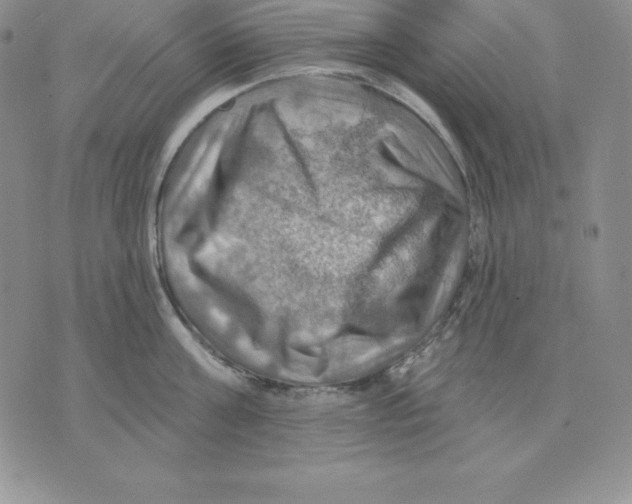 X0000075830811200610151518