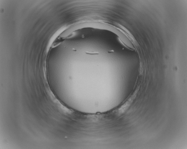 X0000075830812200610151518