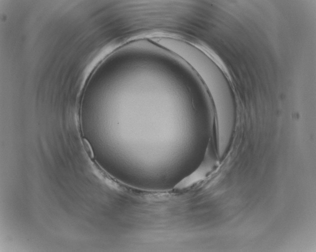 X0000075830813200610151518