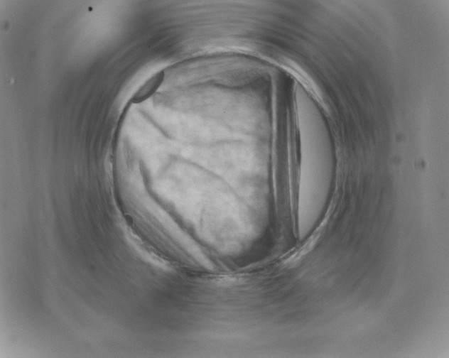 X0000075830814200610151518