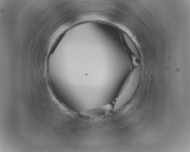 X0000075830815200610151518