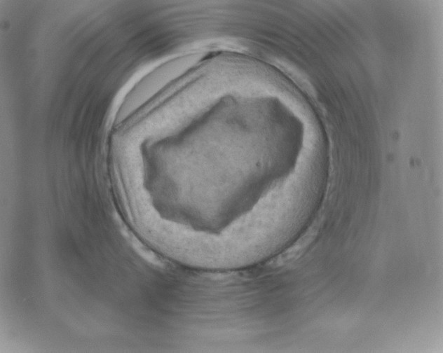 X0000075830816200610151518