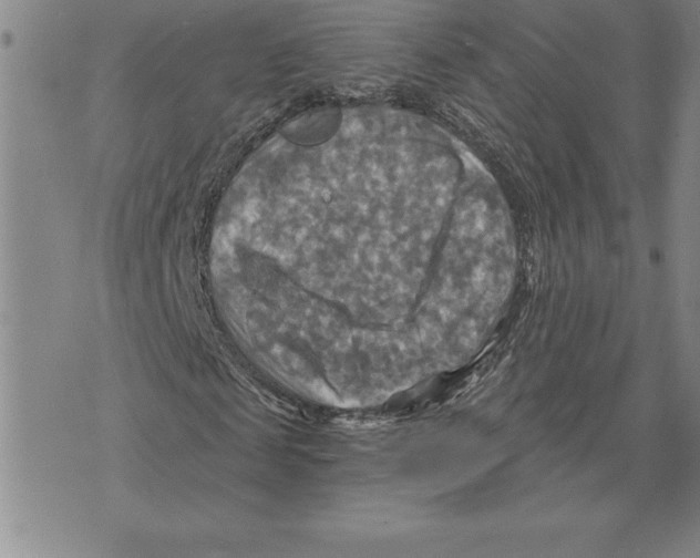 X0000075830817200610151517