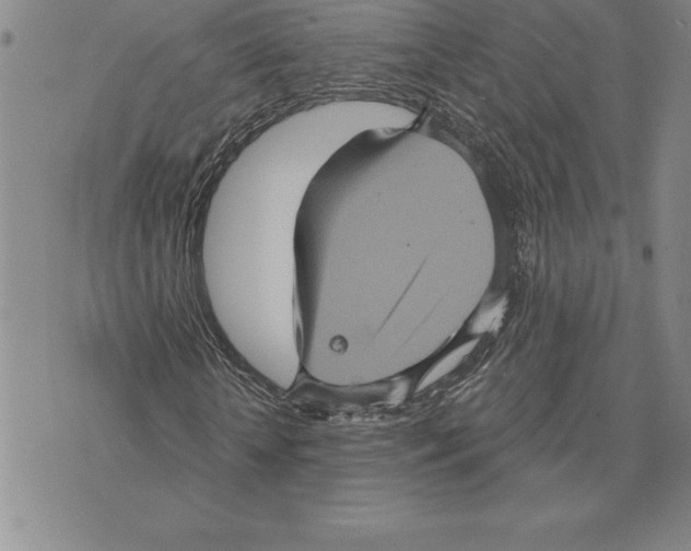 X0000075830818200610151517