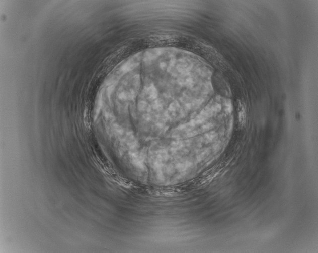 X0000075830819200610151517