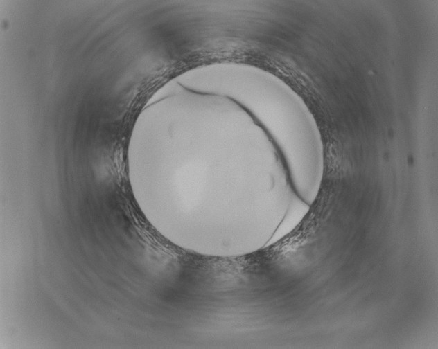 X0000075830820200610151517