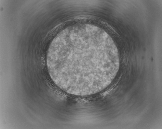 X0000075830821200610151517