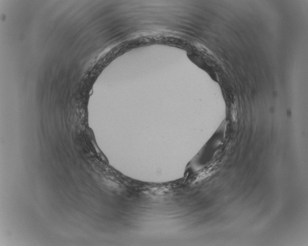 X0000075830822200610151517