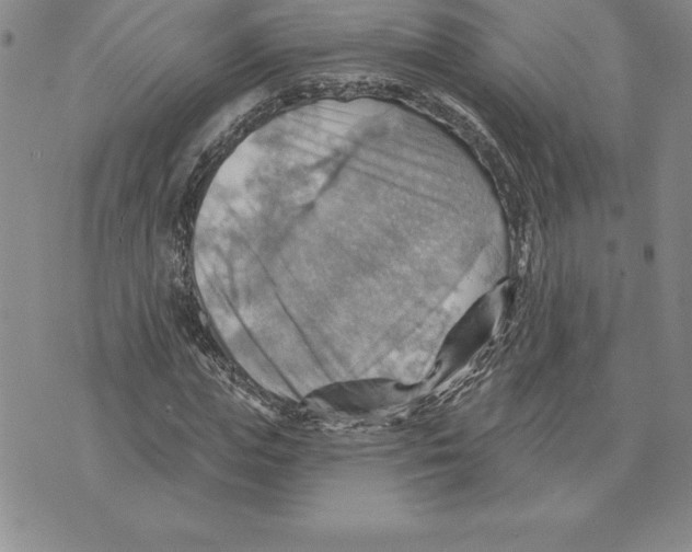 X0000075830823200610151517