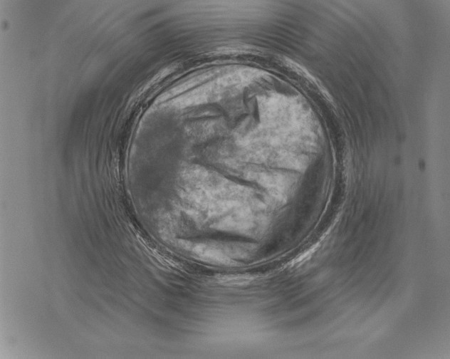 X0000075830825200610151517