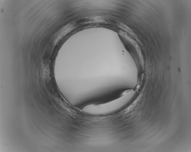 X0000075830826200610151518