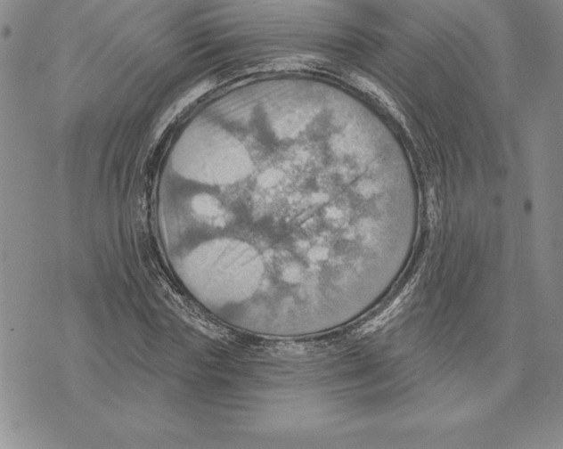 X0000075830827200610151518