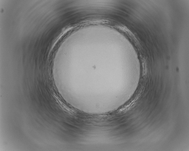 X0000075830828200610151518