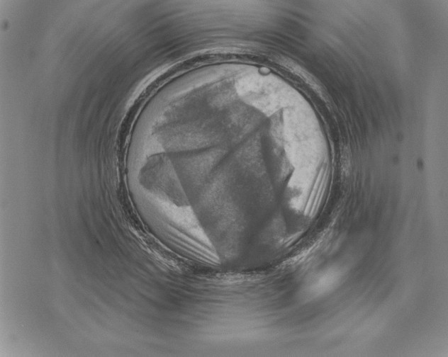 X0000075830829200610151518