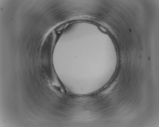 X0000075830830200610151518