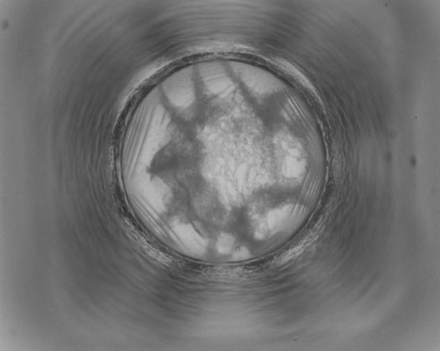 X0000075830831200610151518