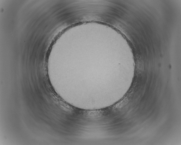 X0000075830832200610151518