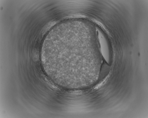 X0000075830833200610151518