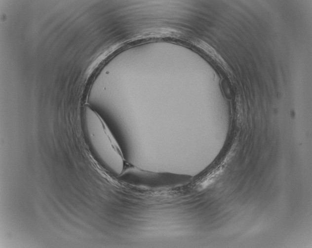 X0000075830834200610151518