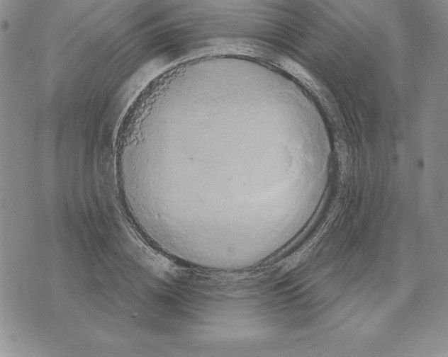 X0000075830836200610151518