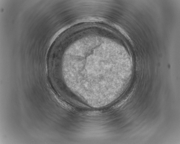 X0000075830837200610151518