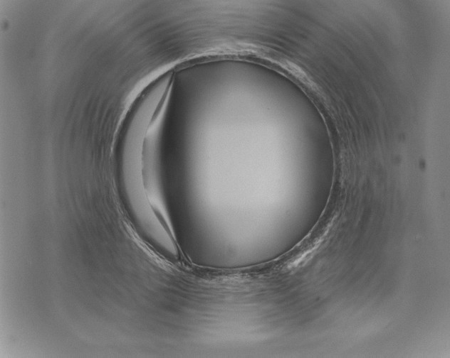 X0000075830838200610151518