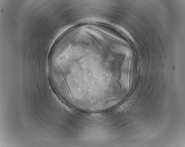 X0000075830839200610151518