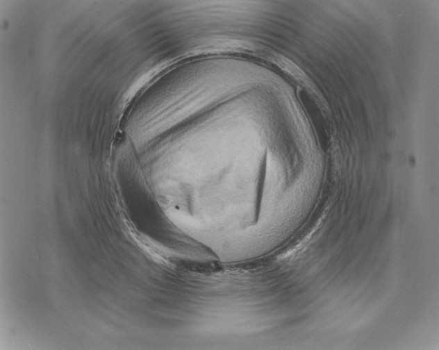 X0000075830842200610151518