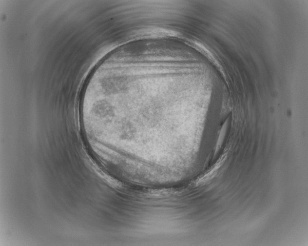 X0000075830843200610151518