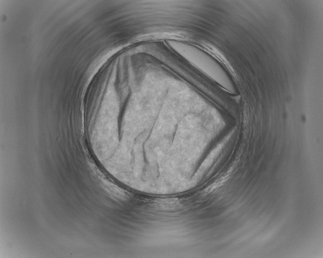 X0000075830844200610151518