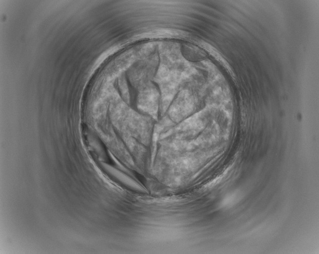 X0000075830845200610151518