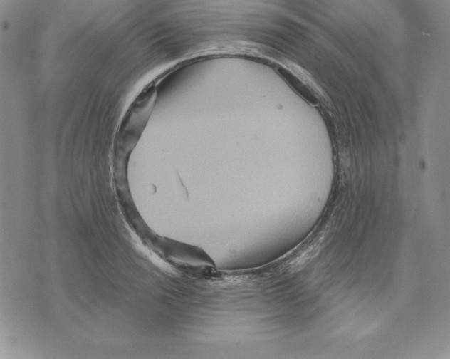 X0000075830846200610151518