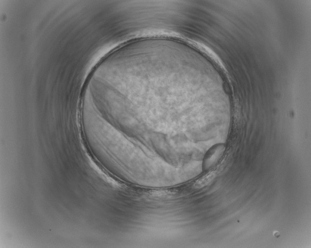 X0000075830847200610151518