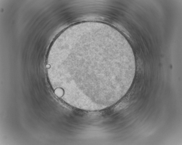 X0000075830848200610151518