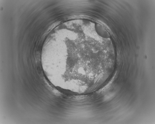 X0000075830849200610151518