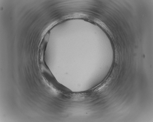 X0000075830850200610151518