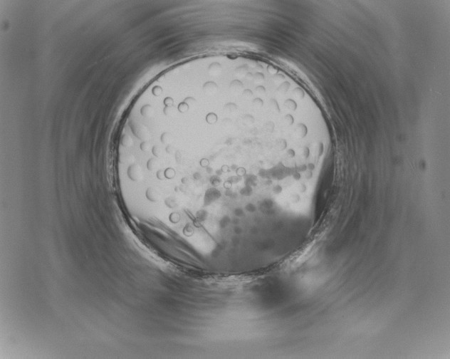 X0000075830851200610151518