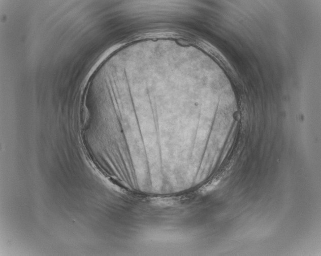 X0000075830852200610151518