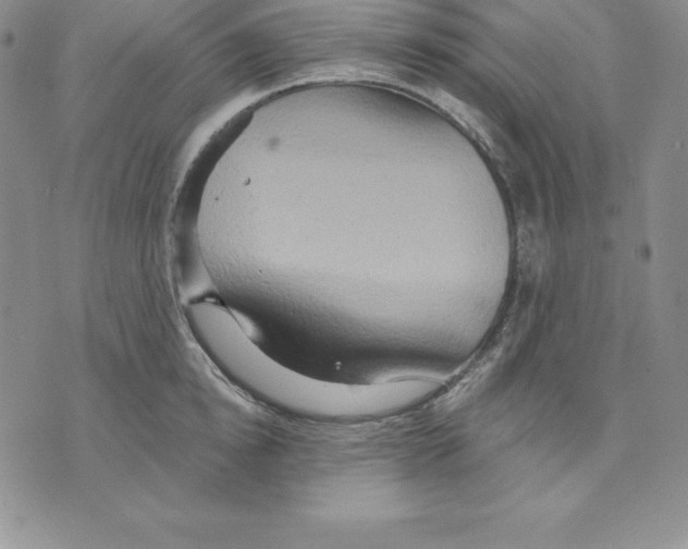 X0000075830854200610151518