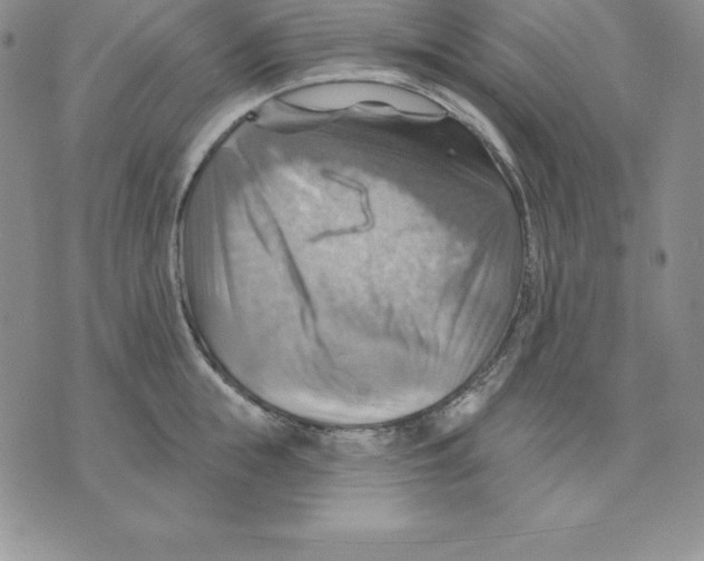 X0000075830855200610151518