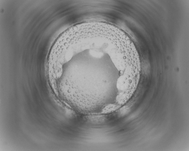 X0000075830856200610151518