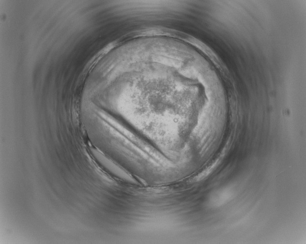 X0000075830857200610151518