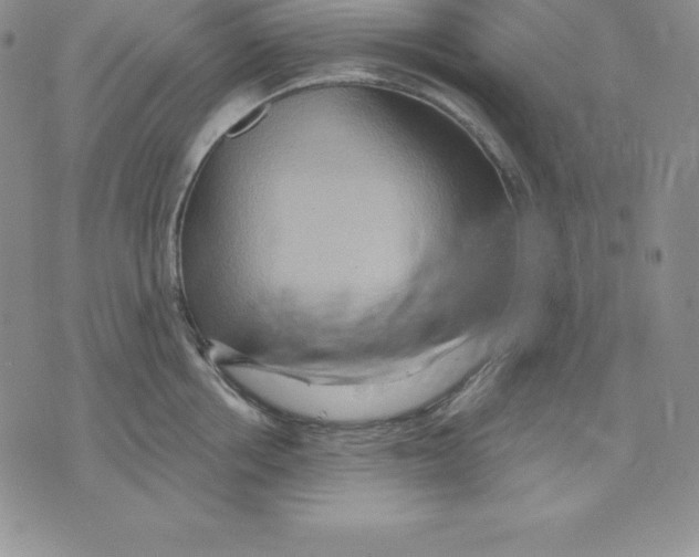 X0000075830858200610151518