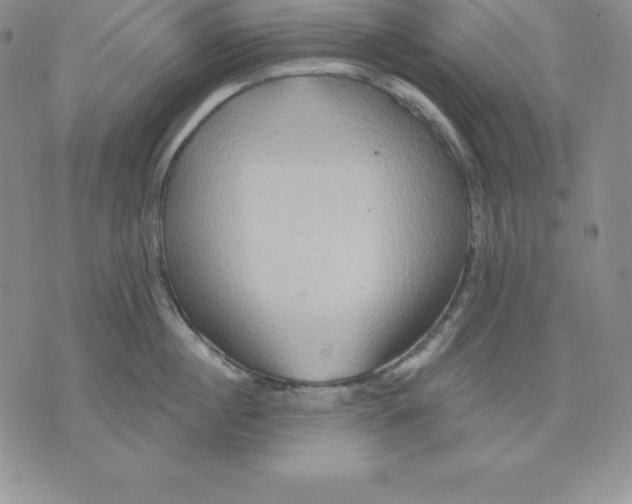 X0000075830860200610151518