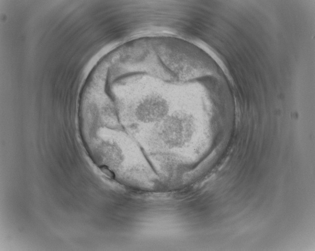 X0000075830861200610151518