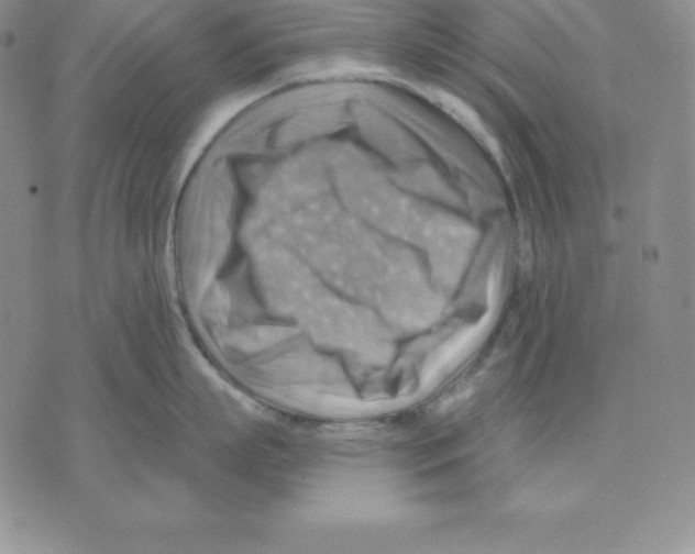 X0000075830863200610151518