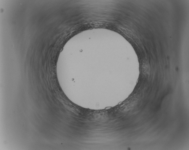 X0000075830865200610151517