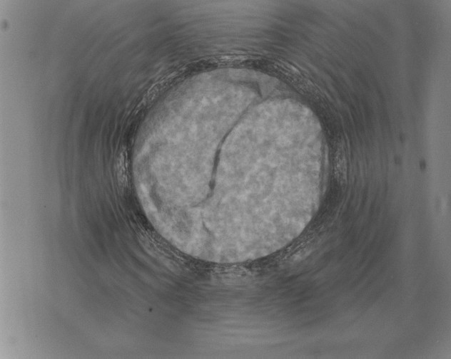 X0000075830866200610151517