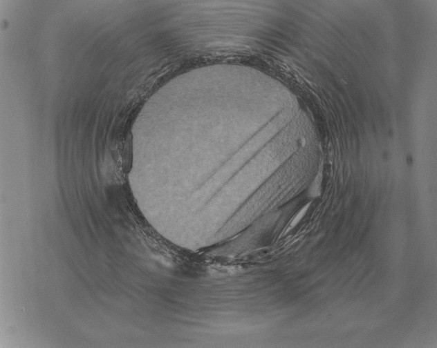 X0000075830868200610151517