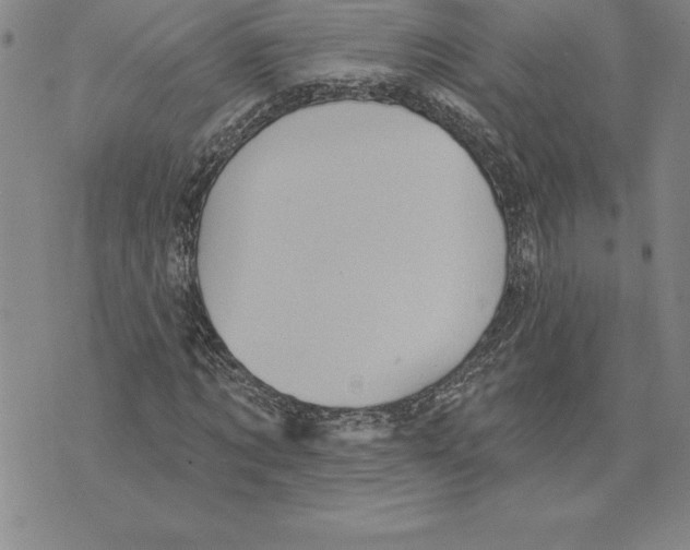 X0000075830869200610151517